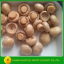 halal certificate canned whole mushroom - product's photo