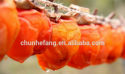 chinese dried persimmons fruit from shaanxi fuping - product's photo