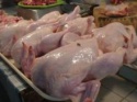 chicken feet, chicken wings / paws etc - product's photo