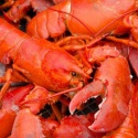 lobster - product's photo