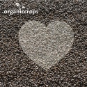 organic black chia seed - product's photo