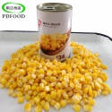 425g canned sweet corn - product's photo