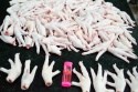 frozen chicken feet manufacturers | chicken paws suppliers china - product's photo