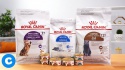top quality royal canin dog & cat food & breed specific  - product's photo