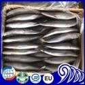  frozen mackerel fish - product's photo