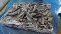 frozen mackerel hgt - product's photo
