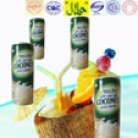 kelapa squash new filling soft drink in tin 240ml - product's photo