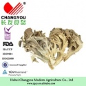 grifola frondosa dried maitake mushroom - product's photo