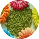 mung beans - product's photo