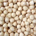 blanched hazelnut kernel - product's photo