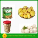 canned whole button mushroom can - product's photo