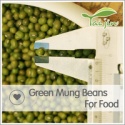 good quality wholesale big size new crop price for green mung beans seed - product's photo