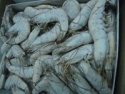 vannamei shrimps hoso  - product's photo