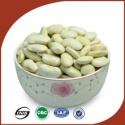 chinese kidney beans price of large white kidney beans - product's photo