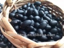 black kidney bean (2012 crop, hand-picked selection. heilongjiang origin) - product's photo