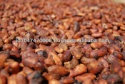indonesian origin sun dried cocoa - product's photo