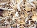 dry oyster mushroom - product's photo