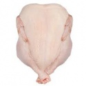 high quality organic halal frozen chicken - product's photo