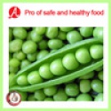 high quality iqf green peas on hot sale - product's photo