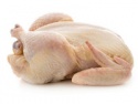whole frozen chicken for export - product's photo