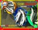 frozen whole round barracuda fish - product's photo