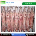  fresh frozen lamb meat - product's photo