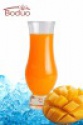 best selling concentrated mango juice - product's photo