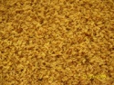 cassia meal powder - product's photo