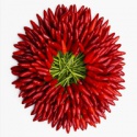 chili wholesale price - product's photo