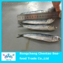 fresh anchovies that can be made caned anchovies and also can be raw salted anchvoies - product's photo