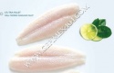 fish,pangasius fillet, vietnam seafood, pangasius fish - product's photo