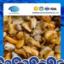 frozen blue mussels meat without shell - product's photo