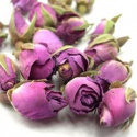 pink rose bud, eu standard - product's photo