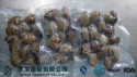 new frozen fresh cooked clam products in high quality - product's photo