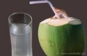 coconut water exporter - product's photo