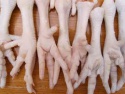 frozen chicken feet - product's photo