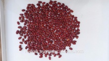 long shape dark red kidney beans - product's photo