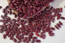 organic dark red kidney beans - product's photo