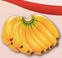 aseptic banana puree - product's photo