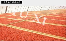 ningxia dried goji berry yuxi chinese wolfberry - product's photo