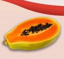 aseptic papaya puree - product's photo