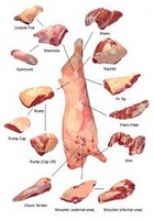 frozen beef tendons - product's photo