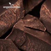 organic cacao liquor/paste - product's photo