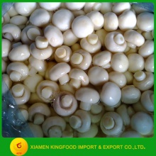 preserved mushroom in so2 to brazil market - product's photo