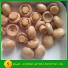 halal certificate canned whole mushroom - product's photo