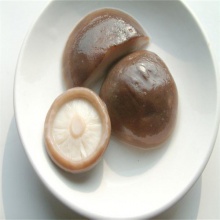 china shiitake mushroom - product's photo