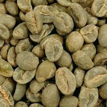 aa robusta yummy cofee bean - product's photo