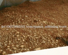 coffee extract - product's photo