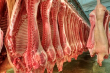grade aaa frozen pork meat , pork tail,pork feet for sale - product's photo