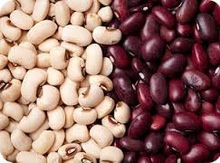 top light/ white kidney beans - product's photo